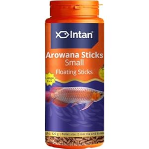 Intan Aquatic Arowana Sticks Fish Food | Small Floating Stick For Arowana Fish | Large Pack 120 Gram, Pellet Size 2 Mm Dia And 6 Mm Length, Pack Of 1
