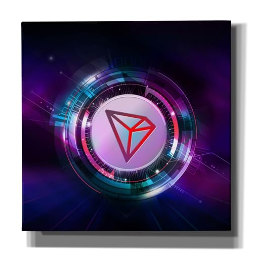 Epic Graffiti 'TRX Tron Blockchain' by Epic Portfolio Giclee Canvas Wall Art, 26"x26"