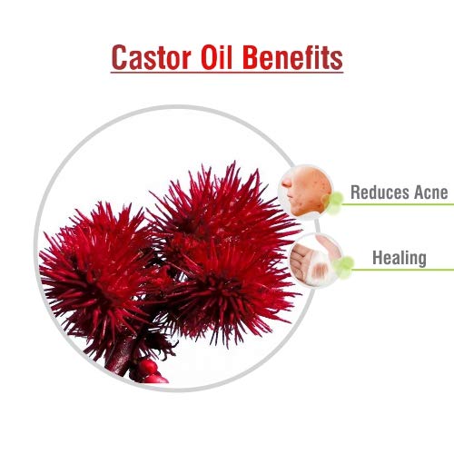 Image of Crysalis Castor Oil 30 ml (1.01 fl oz) - Thick Versatile Carrier Oil for Skincare, Haircare, DIY Formulations, Soaps & Cream Blends