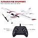 Remote Control Plane, 2.4Ghz 2 Channel RC Plane Ready to Fly,DIY RC Airplane Toy Durable EPP Foam Built-in 3-Axis Gyro System, Easy to Fly RC Aircraft for Beginners Kids and Adults(Two Batteries)