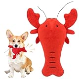 Matériau doux et pelucheux : ce jouet est fabriqué dans un matériau doux en peluche qui est doux pour les dents et les gencives de votre chien, le rendant parfaitement moelleux et sûr à mordre tout en assurant un confort pendant le jeu.