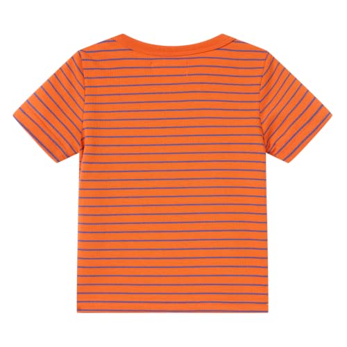 Image of LittleSpring Boys Girls T Shirt Rainbow Striped Cotton Crewneck Tees for Kids Fashion