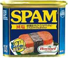 スパム 減塩 26缶（1缶385円）340g 10000円クーポンセットSPAM スパム 減塩 26缶（1缶385円）340g 10000円クーポンセットSPAM