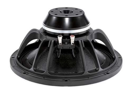 B&C Speakers 12NW76-8 LF Drivers 12-Inch Woofer 8 Ohms Impedance 500 Watts Rms 1000 Watts Max Continuous Power Handling Capacity Neodymium Ring Pro Audio Component Speaker Driver for Motorcycle Car