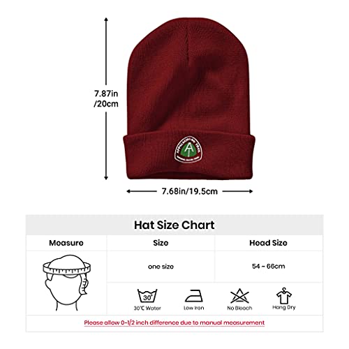 Image of Embroidery Goth Beanie Knit Hats for Men & Women, Embroidery Winter Hats Skull Cap