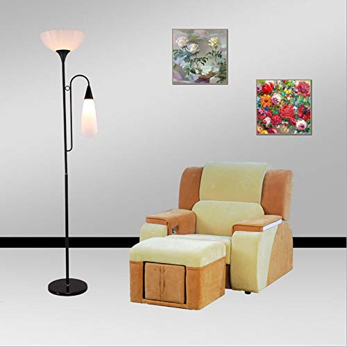 Raelf Simple et moderne LED simple tige double tête LED Lampadaire sol Pied interrupteur for sortir du lit 2 Tête de fer noir Table moderne café Lampadaire acrylique lampe de lecture