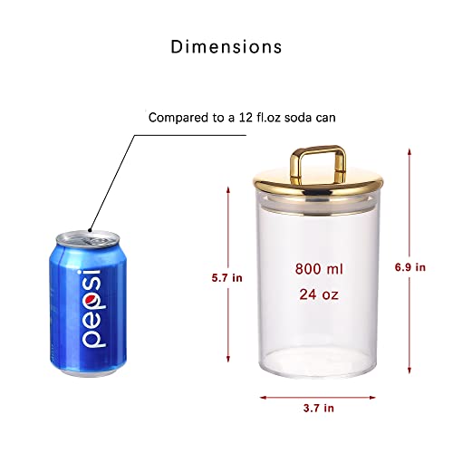 24 Oz Medium Acrylic Storage Apothecary Jar With Gold Airtight Lid | Bathroom Vanity Organizer Containers | Perfect Decorative Canisters For Shells, Bath Salt, Grains, Cotton Ball, Flossers #TOP1