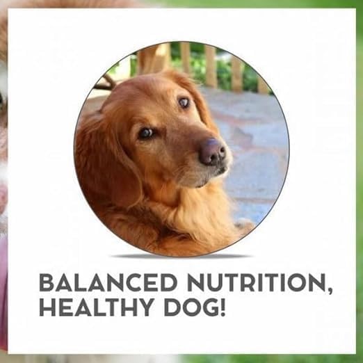 Image of Vet Prō Renal Dog Food 8kg | Low-Phosphorus Formula | Supports Kidney Health & Urinary Care Protein & Omega-3 for Dogs with Renal Issues | Complete & Balanced Diet