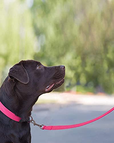 Joytale 14-20 Inches Dog Collar And 6Ft Leash, Reflective Soft Neoprene Padded Pet Collars And Leashes For Medium Dog #TOP1