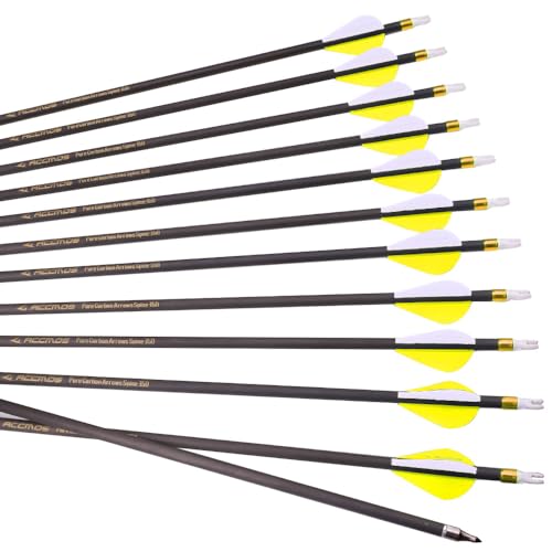 6/12pc Custom Length Carbon Arrows Spine 300 350 400 500 600 700 800 Removable Tips 2