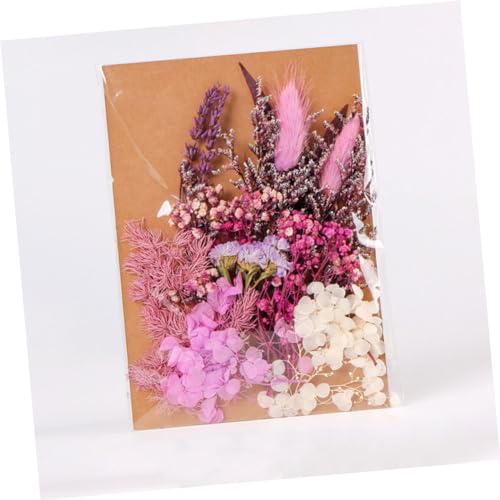 Flores secas para manualidades ORFOFE 1 bolsa miniatura 3