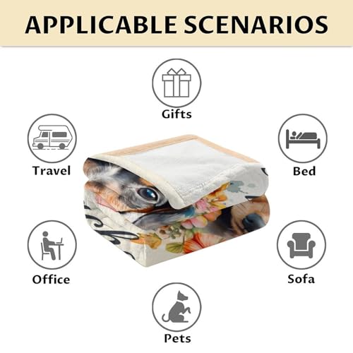 Dachshund Throw Blanket for Women - 60x80 Inches Twin Size - Soft Fluffy Cozy Blankets Gift - Colorful Cute Blanket Throws for Bed, Sofa, Winter
