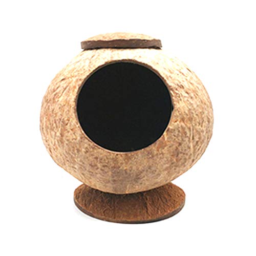 Nid d'oiseau naturel en noix de coco pour décoration extérieure et repos