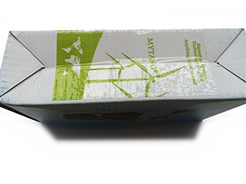 Mytang®Creative Office Desktop Accessories The Motorcycle Loves Metal Motorcycle Model Artwork (C3-Copper (Super Big Size)) #TOP3