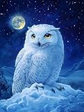 Diamond Painting Kits for Adults Owl on Snowy Mountain DIY 5D Diamond Art Kits for Beginners Full Drill Diamond Dots Crystal Craft Kits for Home Wall Art Bedroom Decor Gifts 11.8x15.8 inch