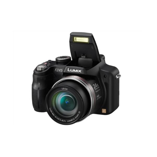 Panasonic Lumix DMC-FZ45EG-K Digitalkamera (14 Megapixel, 24-fach opt. Zoom, 7,5 cm (3 Zoll) Display, Bildstabilisator) schwarz