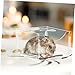 BESPORTBLE Acrylic Hamster Food Bowl Pet Food Container Acrylic Dish for Hamsters Guinea Pigs and Chinchillas Chew Resistant Design for Feeding