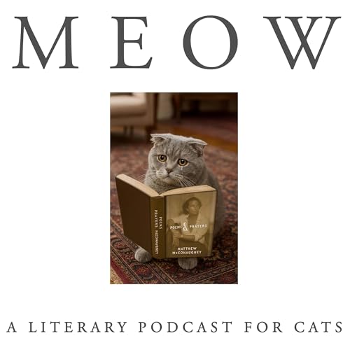 59. Matthew Matthew McConaughey's Poems and Prayers, Read For Your Cat