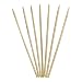 KingSeal Natural Birch Wood Corn Dog Skewers, Sticks, 8.75 Inches, 4.5mm diam - 1000 Count