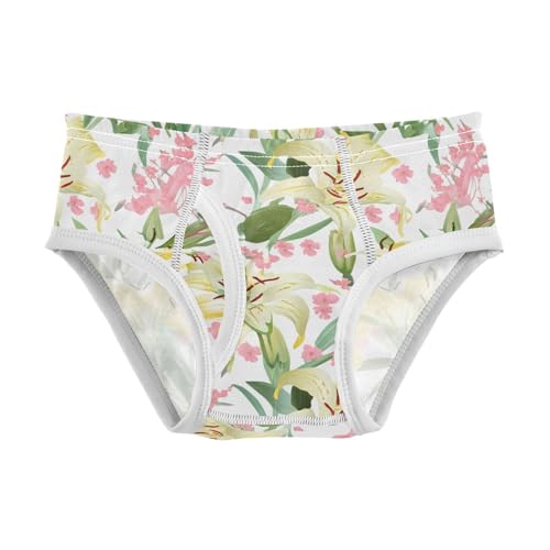 Lilies Delicate Pink Blossoms Toddler Boy's Underwear 2T 202c1456