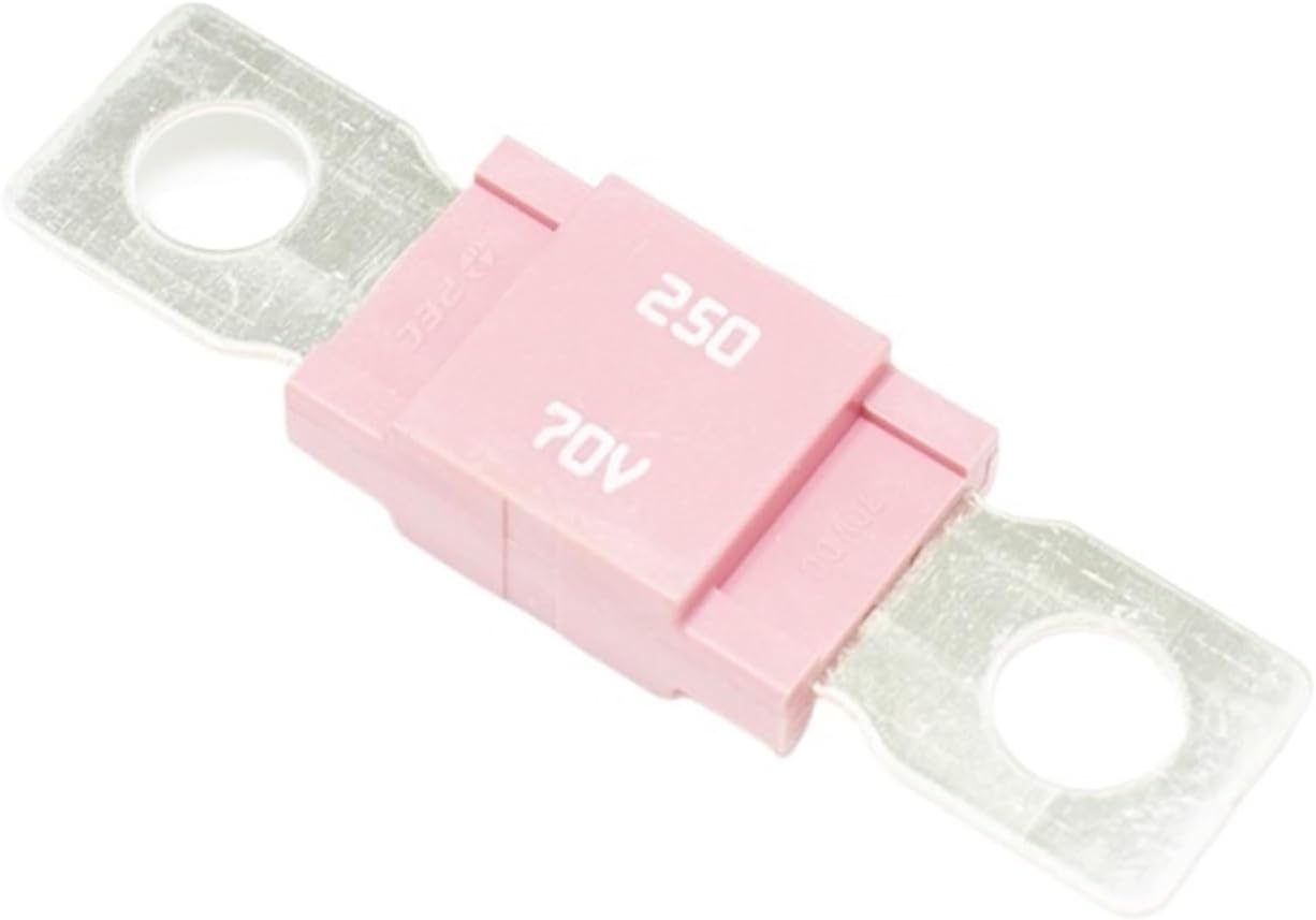 Automotive Fuse SBFW-K48V-70V Fuse(250A)