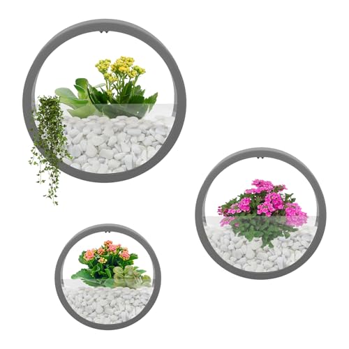 DHQCQL Maceta colgante, jarrones de pared modernos, 3 unidades macetas colgantes para pared, maceta redonda, montaje en pared para plantas de interior, plantas artificiales, flores (gris)