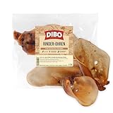 DIBO