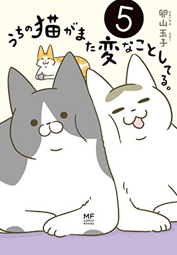 うちの猫がまた変なことしてる。5 (メディアファクトリーのコミックエッセイ)