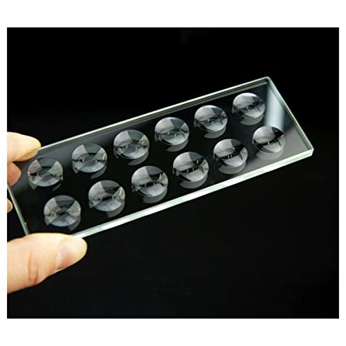 ���{�p�������A�N�Z�T���[ 10mm�����~�`����L���r�e�B���̌������X���C�h���w�K���X(12 wells)