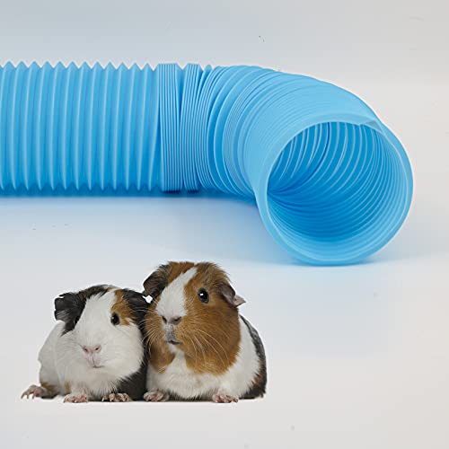The 30 Best Small Animal Tubes & Tunnels of 2022 [Verified] Cherry Picks