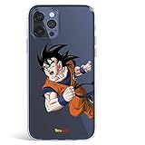 LA CASA DE LAS CARCASAS