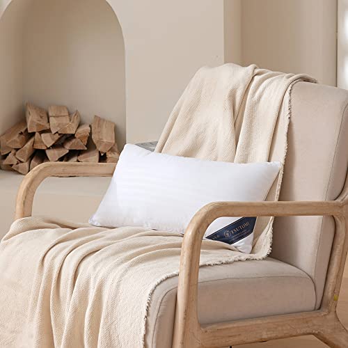 Tsutomi 12X20 Pillow Insert Set Of 2 For Pillow Stuffing, Decorative Pillows For Bed, 12 X 20 Pillow Fillers And Down Lumbar Pillow Insert, Oblong Small Pillow Couch Pillow Throw Pillow Insert #TOP4