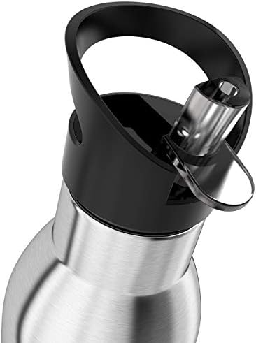 pH ACTIVE Insulated Water Bottle - Filtered Alkaline Water Bottle - Stainless Steel Water Bottle - Includes Alkaline Water Filter, Plus Bonus Sports Gym Lid - Double Walled Metal NEW 2019 Model, 950ml
