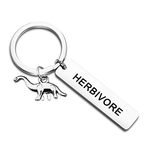 TGBJE Vegetarian Jewelry HERBIVORE Keychain Hand Stamped Dinosaur Keychain (Herbivore Keychain)