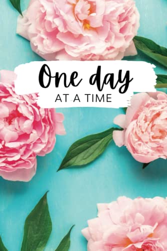 One Day at a Time: Executive Functioning 30 Day Full Color Workbook Planner for Adults with ADHD, with prompts, logs, task breakdown, daily check in ... improve confidence, organization skills image 2