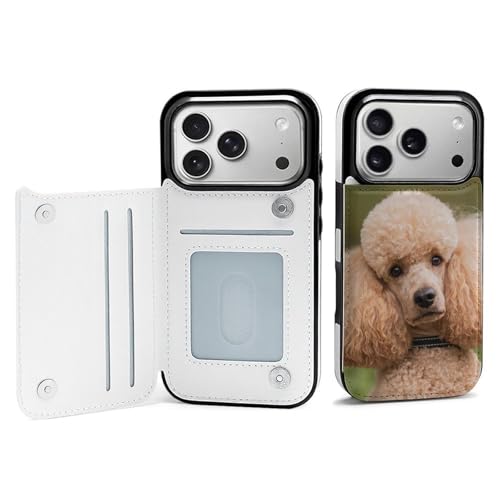 iPhone17 PropP[X v[h  蒠^ z^ gуJo[ ACtH17 PropP[X }Olbg J[h[ X^h@\ ӂ ^ Gǂ ϏՌ Sʕی  킢 lC v[g