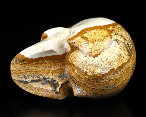Cráneo de Jaspe Picture de 2 Pulgadas Escultura de Gemas miniatura 5
