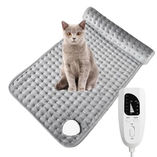 Lifetips VKv[ Singapura ybgpzbgJ[ybg Lp g x h 􂦂 ȃGl ~ ~p ybgq[^[ xbhp ` ybgpzbgJ[ybg ybgq[^[ x 􂦂h ~ (60