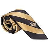 Desert Cactus University of Central Florida UCF Neck Tie, Formal Necktie