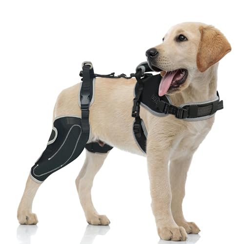 Image of Dog Harness with Handle - Dog Harness Emotional Support Vest Dog Harness Service Dog Vest Dog Harness No Pull Adjustable Design for Comfort and Control,L