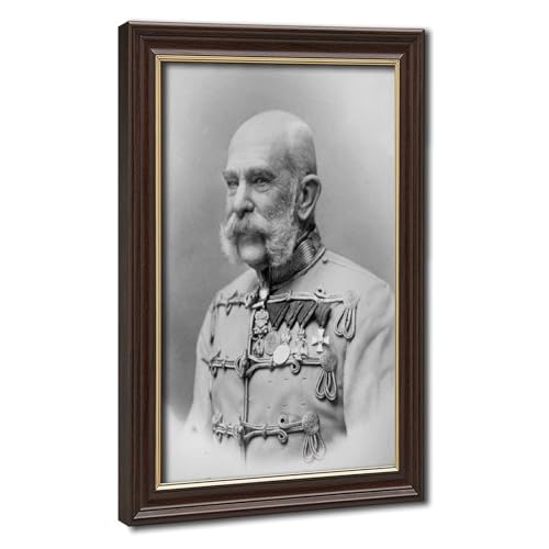 François-Joseph portrait toile pour décorer un cabinet ou bureau