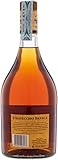 Zoom IMG-1 stravecchio branca brandy 1 l