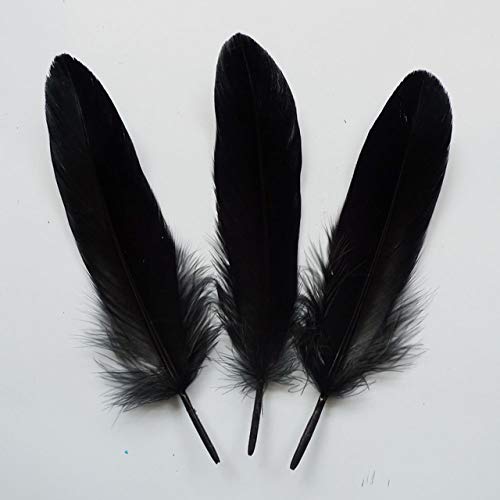 Celine Lin 100Pcs Dyed Home Decor Goose Feather For Diy Art,Home Party Or Wedding 6-8Inch,Black #TOP4