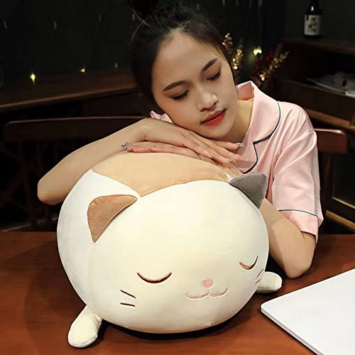 18p`150p @\ 傫TCYTCY L lR ˂ jR 艀c }V}Aj} ʂ ΂  zc ֎q\t@[w ᔽNV QYQ rOu  GObY lCn