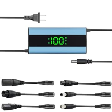 electric bike fast charger