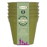 Haxnicks Sustainable Bamboo Fibre Plant Pot in Sage Green, 6 Inch Diameter, 1.2 Litre Capacity, Pack of 5, Biodegradable & Home Compostable, POT130101