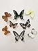 15 pcs of Real Dried Dead Butterflies with Spread Wings Shaped, Natural unmounted Butterfly specimens for Art, Decorations, Taxidermy and Gifts for Kids and Family(15 Pcs Butterfly)
