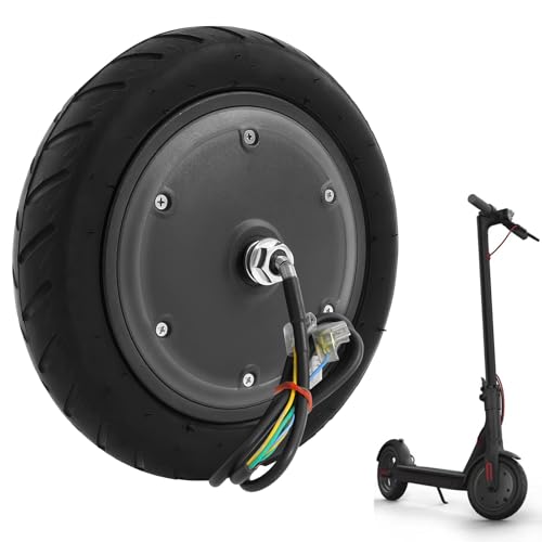 Bicicletas Eléctricas Plegables Xiaomi Marca Zoobotanica