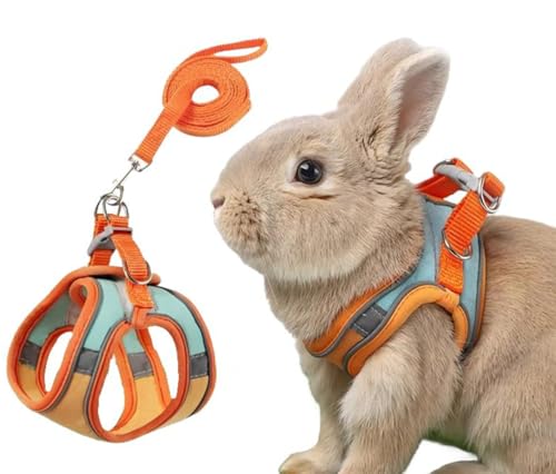 ISUPY ybgpi ETM tFbg n[lX [h Ȃ \tg _炩 q qL \  LOBe opi Up[h (M,O[IW)