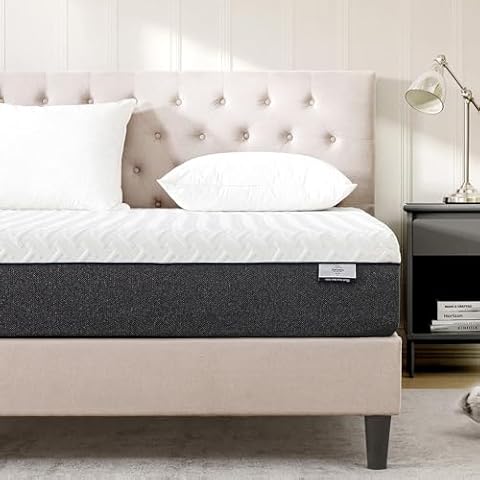 Gelsea 10 Inch Memory Foam Mattress Cover